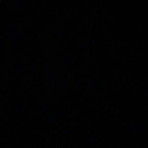 Meet your Posher, Elmira